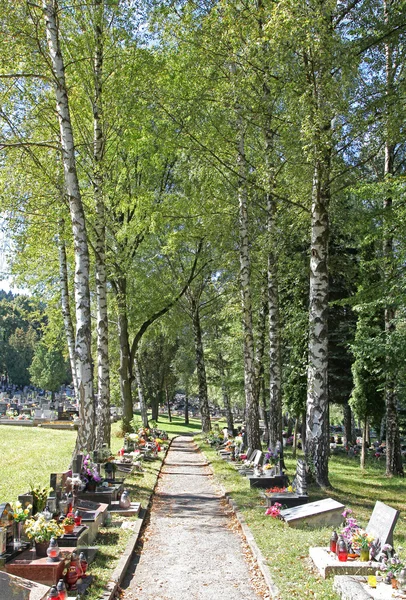 Кладбище в городе Ружомберок — стоковое фото