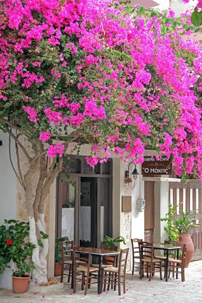 Dorp panormo op Kreta, Griekenland — Stockfoto