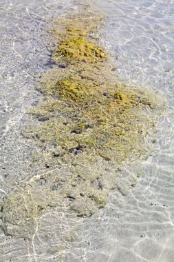 elafonisi, crete, pembe kum ile sığ açık deniz