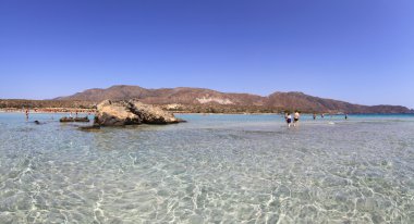 açık denizde sığ elafonisi, Girit