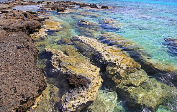 Mar poco profundo y claro en Elafonisi, Creta —  Fotos de Stock