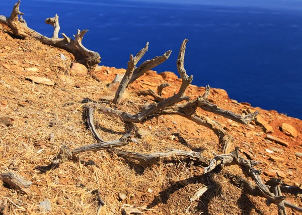 Deserto em Creta — Fotografia de Stock