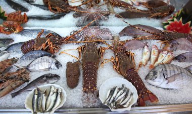 dondurulmuş deniz ürünleri