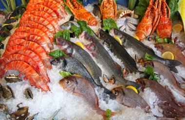 dondurulmuş deniz ürünleri