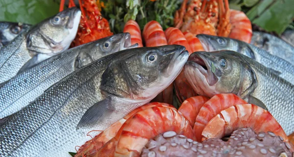 Frozen seafood — Stock Photo, Image