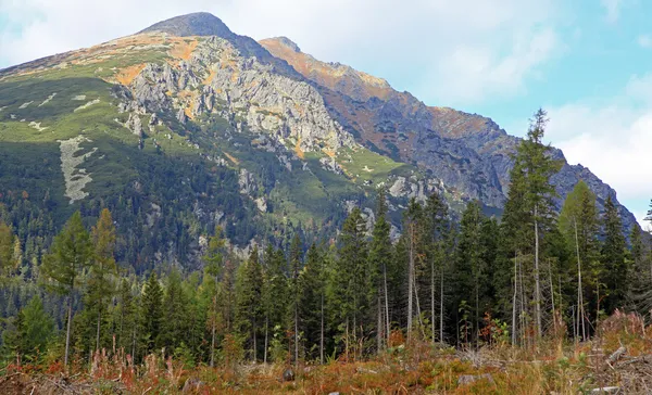 Höga Tatrabergen, Slovakien — Stockfoto