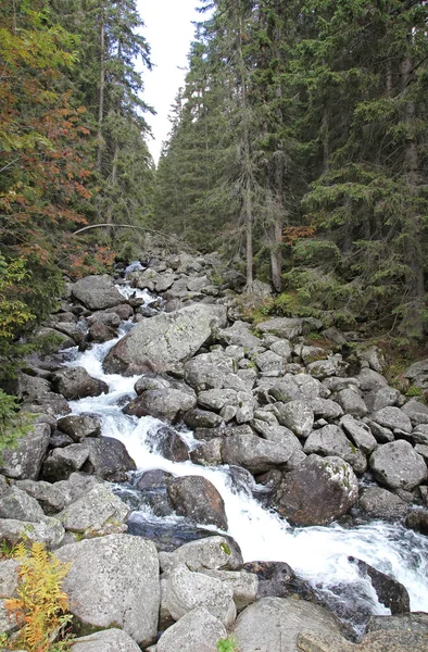 Řeka ve Vysokých Tatrách, Slovensko — Stock fotografie