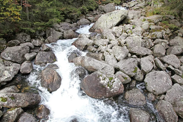 Fluss in der Hohen Tatra, Slowakei — Stockfoto