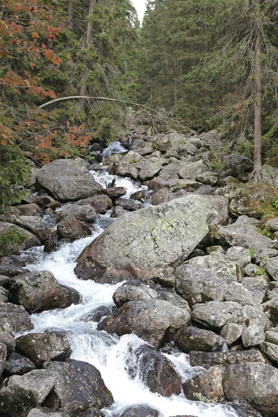 Río en las montañas de High Tatras, Eslovaquia — Foto de Stock