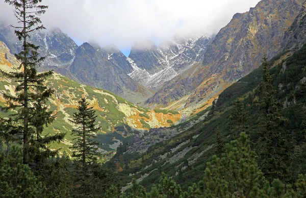 斯洛伐克塔特拉山高山 — 图库照片