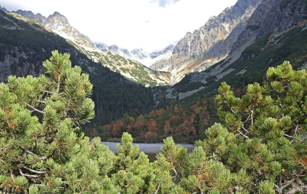 Popradske pleso - tarn in hoge Tatra, Slowakije — Stockfoto