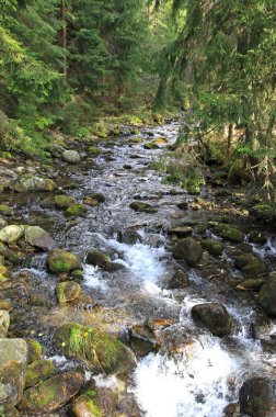 ziarska dolina - vadide yüksek tatras, Slovakya