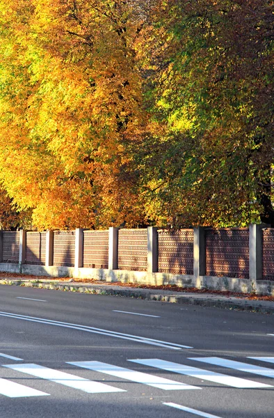 Crosswalk & árvores de outono — Fotografia de Stock