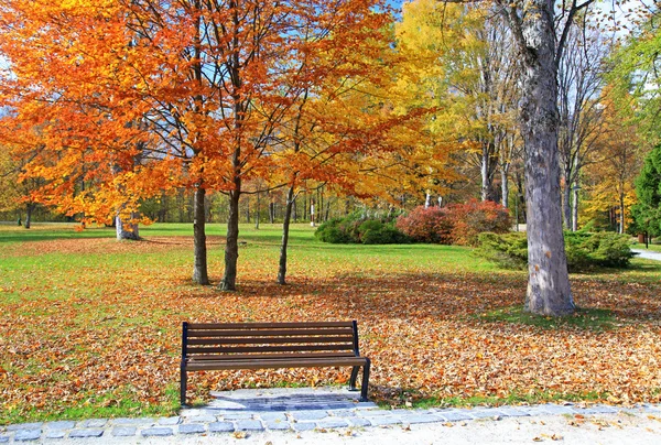 Banco no parque de outono — Fotografia de Stock