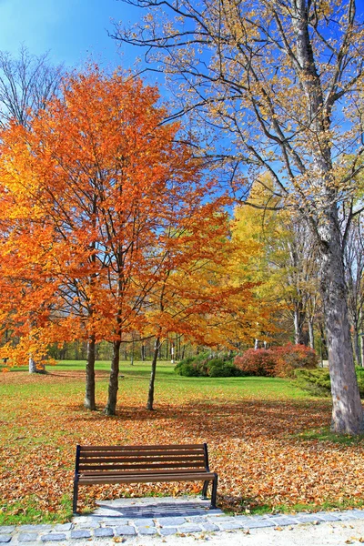 Panchina nel parco autunnale — Foto Stock