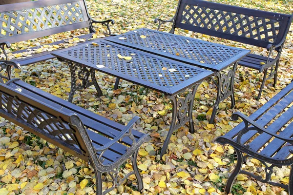 Bancs dans le parc d'automne — Photo