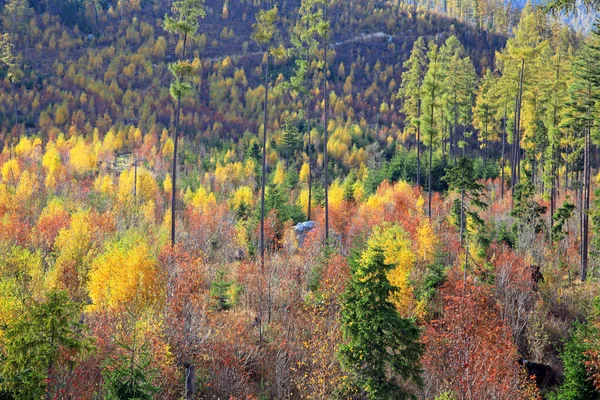 高タトラ山脈、スロバキアで秋 — ストック写真
