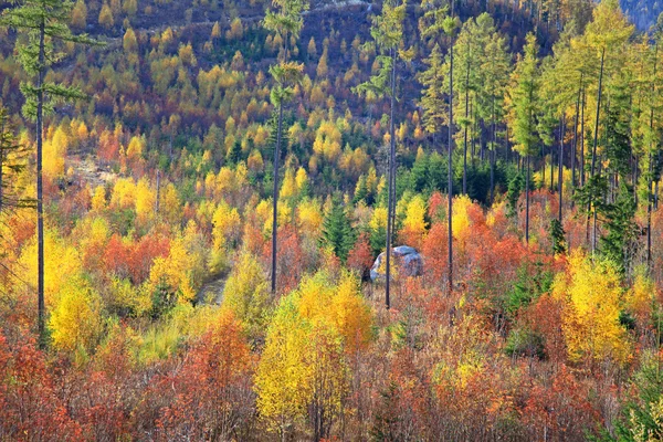 Autumn at High Tatras mountains, Slovakia — Stock Photo, Image