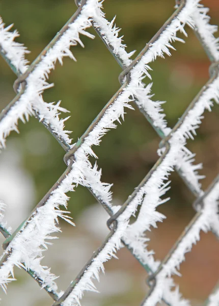 Мороз на заборе — стоковое фото
