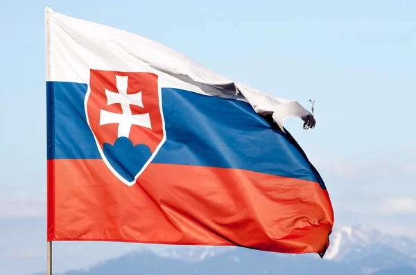 Slovakiska nationella flagga i vinden — Stockfoto