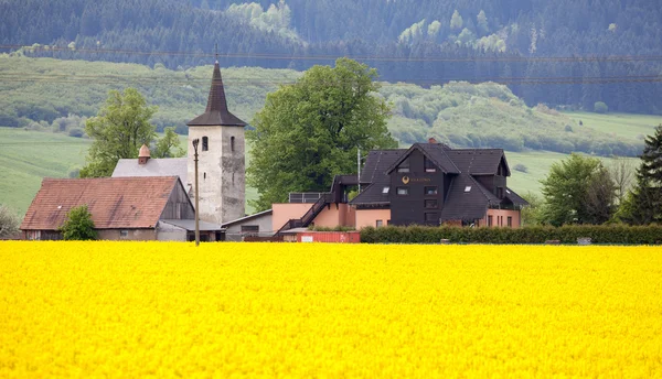 Starý kostel na vesnice Ludrová, Slovensko — Stock fotografie