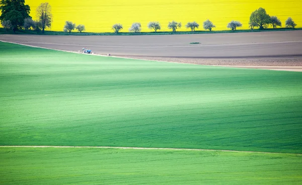 Traktor auf Feld — Stockfoto