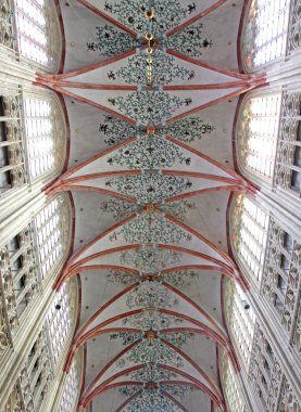 st. john's cathedral's-hertogenbosch, Hollanda, iç