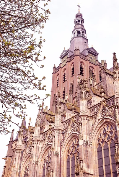 Catedral de São João em 's-Hertogenbosch, Países Baixos — Fotografia de Stock