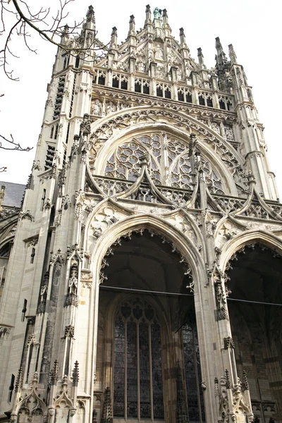 Catedral de San Juan en 's-Hertogenbosch, Países Bajos — Foto de Stock