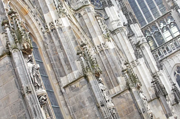 St. Johns Kathedrale in 's-hertogenbosch, Niederlande — Stockfoto