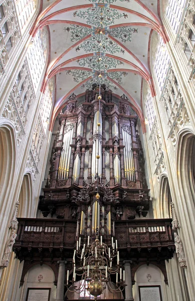 Interior da Catedral de São João em 's-Hertogenbosch, Países Baixos — Fotografia de Stock