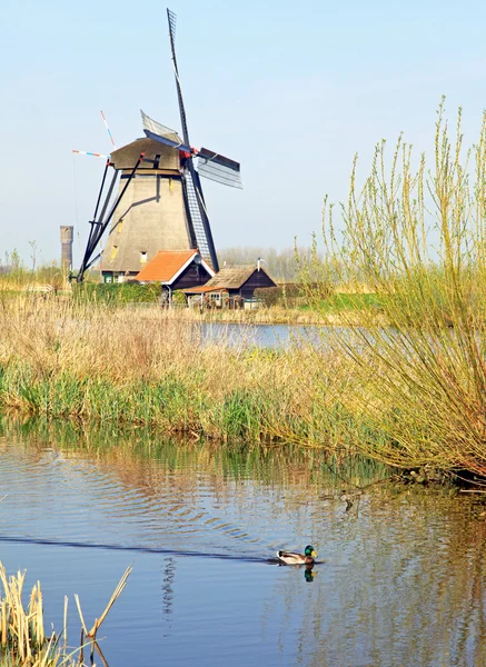 Wiatraki w kinderdijk, Holandia — Zdjęcie stockowe