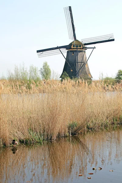 Wiatraki w kinderdijk, Holandia — Zdjęcie stockowe