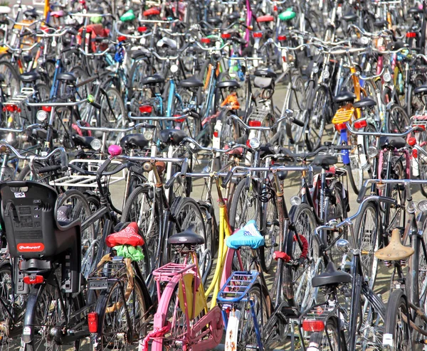 Багато велосипеди в Роттердамі, Нідерланди — стокове фото