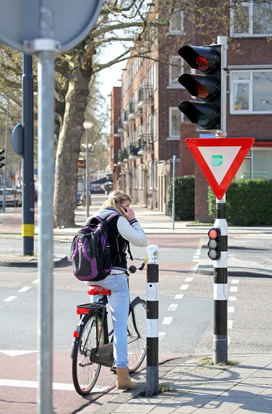 Közlekedési lámpa, kerékpár, rotterdam - Hollandia — Stock Fotó
