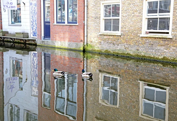 Wasserkanal in der Stadt Delft, Niederlande — Stockfoto