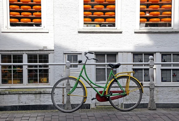 Bike and cheese in town Delft - symbol of Netherlands — Stock Photo, Image
