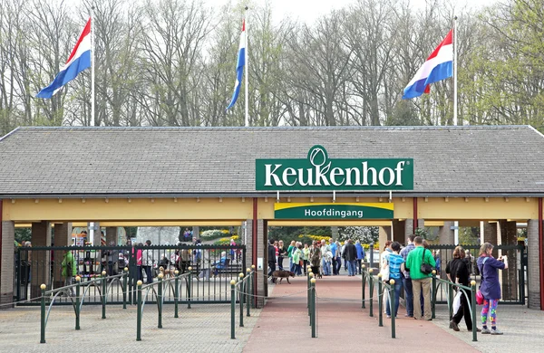 Keukenhof - Garden of Europe, Netherlands — Stock Photo, Image
