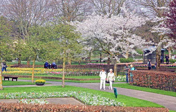 Keukenhof - Jardim da Europa, Países Baixos — Fotografia de Stock