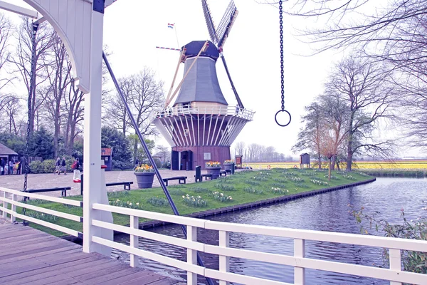 Keukenhof - kert, Európa, Hollandia — Stock Fotó