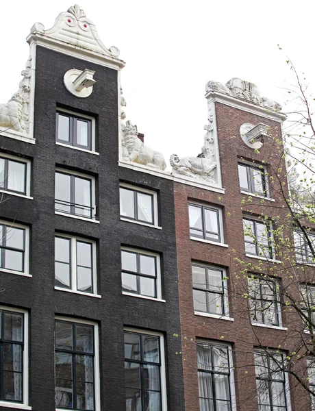アムステルダム、オランダの典型的なアーキテクチャ — ストック写真