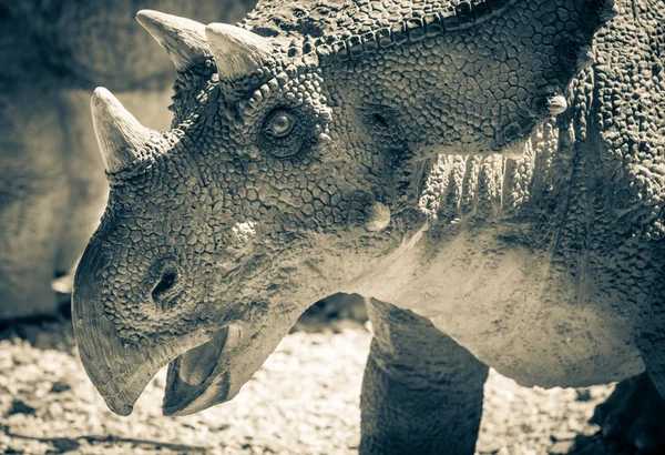 Modèle réaliste de dinosaure - Chasmosaurus — Photo