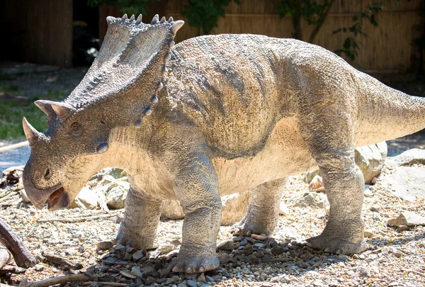 Realistische model van dinosaur - chasmosaurus — Stockfoto