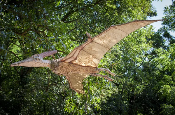 Dinozor - pteranodon gerçekçi bir model — Stok fotoğraf