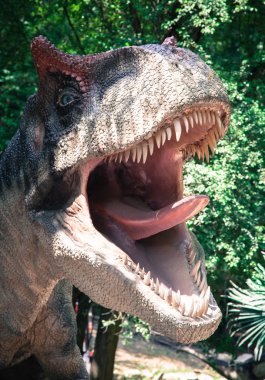Realistic model of dinosaur Allosaurus clipart