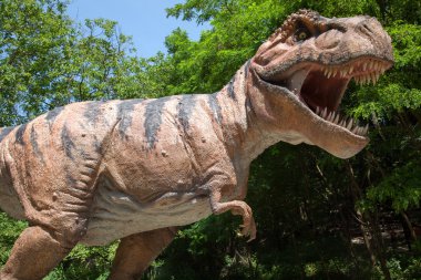 Realistic model of dinosaur Tyrannosaurus Rex clipart