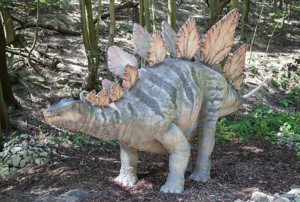 Realistic model of dinosaur Stegosaurus