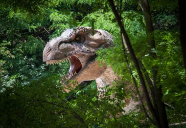 Realistic model of dinosaur Tyrannosaurus Rex clipart