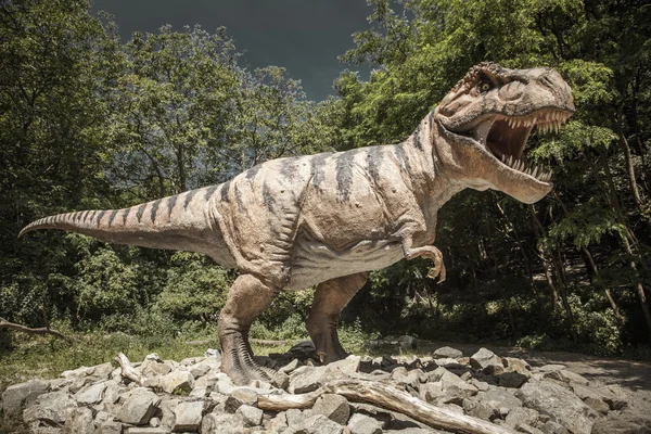 Gerçekçi bir model dinozor tyrannosaurus rex — Stok fotoğraf