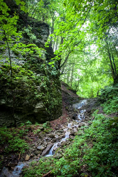 Природа на низькі Татри, Словаччина — стокове фото